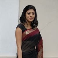 Praneetha hot in transparent black saree | Picture 68319